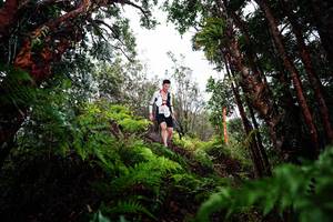 BIB: 
                            <button type="button" onclick="openModal(26204063)" class="btn btn-primary btn-sm float-right btn-popup" data-toggle="modal" data-target=".modal-high-quality">
                        <i class="fas fa-shopping-cart"></i> Add to Cart
                    </button>
                                            <button type="button" onclick="isThisMe(26204063, true)" class="btn btn-success btn-sm float-right btn-popup btn-isme hidden" data-toggle="tooltip" data-placement="bottom" title="นี่คือรูปของคุณใช่ไหม คลิกที่นี่เพื่อเอาเข้าอัลบั้ม">
                        <i class="fas fa-plus"></i> Add to album
                    </button>
                    <button type="button" onclick="isThisMe(26204063, false)" class="btn btn-warning btn-sm float-right btn-popup btn-isnotme hidden">
                        <i class="fas fa-ban"></i> Remove from album
                    </button>